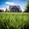 nice grass in front of a house