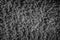 Nice gray textile textured background of cotton