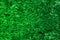 Nice Green Abstract Background In oil paint Texture