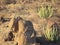 NICE HILL AT THE SONORAN DESERT