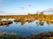 Nice landscape with evening and sunset over the bog lake, crystal clear lake and peat island in the lake and bog vegetation, bog