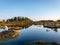 Nice landscape with evening and sunset over the bog lake, crystal clear lake and peat island in the lake and bog vegetation, bog