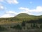 Nice landscape pasture, forest and hill