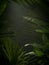 nice mist green tropical jungle background