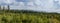 Nice panoramic view to summer czech forest with trees and distant hill, Sumava national park