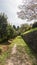 Nice path through the forest with trees and a stone wall. Galician landscape inside the Pazo de MariÃ±Ã¡n