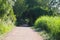 Nice path in the lake of Ivars and Vila Sana, lleida