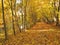 Nice path near river and colorful autumn trees