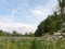 A nice path walkway through a countryside meadow with trees and