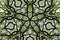 Nice pattern graphic background of leaf and tree canopy
