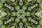 Nice pattern graphic background of leaf and tree canopy