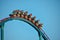 Nice people having fun amazing Mako rollercoaster at Seaworld Theme Park 1