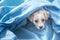 Nice puppy hides under the blue sheets and looks up with a sad face