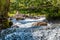 A nice river between trees - the water stream fast over some rocks