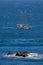 Nice sailboat on the Spanish ocean in Costa Brava