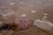 Nice sandy beach in one real area of Ireland getting polluted by humans and plastic waste. Also, there is some dead jellyfish besi