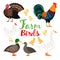 Nice set of cute Farm Birds vector illustration