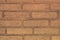 Nice shabby orange brick wall texture for any purposes
