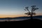 Nice silhouette of pine trees during sunset at Olkhon island, Baikal lake, Russia