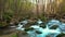 Nice small creek detail in the forest in Spain in a cloudy day