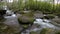 Nice small creek on the forest in Spain in a cloudy day