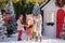 Nice smiling children and adorable pony with festive wreath near the small wooden house and snow-covered trees.