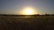 Nice stipa plants on the meadow on the sunset light