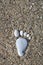 Nice stone made footprint on the sand shore, background
