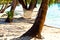 Nice straw hammock on the beach