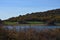 Nice Sunny Day To Enjoy From The Shore Of The Pajarero Reservoir Seen Through The Trees. November 14, 2015. Nature, Travel,