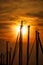 Nice sunset light in a harbor with sailboats masts