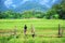 Nice time at bamboo bridge across paddy field