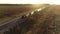 Nice top view of road repair. Road rollers are laying asphalt. Asphalt paver. Road works on the highway among forests