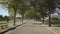 Nice traveling in public park tree-lined pathway at autumn