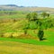 Nice typical rural landscape in the plains of Transylvania, Romania.