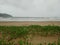 Nice view of beach plant sand mountain rainy season