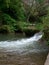 Nice view of the bubbling water. Beautiful trees