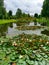 Nice view of the park with a bridge pond and blooming lotus and lilies in summer.