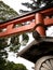 Nice view of a red torii gate in Japan