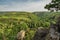 Nice view to valley with river Dyje, rock and tree, national park Podyji, Czech republic