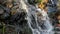 Nice waterfall on small forest brook from thawing snow shined by sunset sun