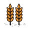 Nice wheat stalks.. Vector illustration decorative design
