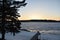 Nice wild lake in a canadian forest on spring