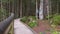 Nice wooden path of AigÃ¼estortes i Estany de Sant Maurici National Park in a Spanish Pyrenees mountain