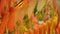 Nice yellow orange red leaves  nature background abstract macro close up autumn