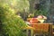 Nicely decorated wooden table full of different kinds of fruits inside shiny beautiful garden with lots of flowers and green