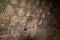 Niches  for pigeons in the wall of the economic cave - columbarium - a dovecote near the excavations of the ancient Maresha city