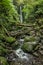 Nichols Falls near Dunedin in Otago, South Island, New Zealand