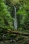 Nichols Falls near Dunedin in Otago, South Island, New Zealand