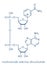 Nicotinamide adenine dinucleotide NAD coenzyme molecule. Important coenzyme in many redox reactions. Skeletal formula.